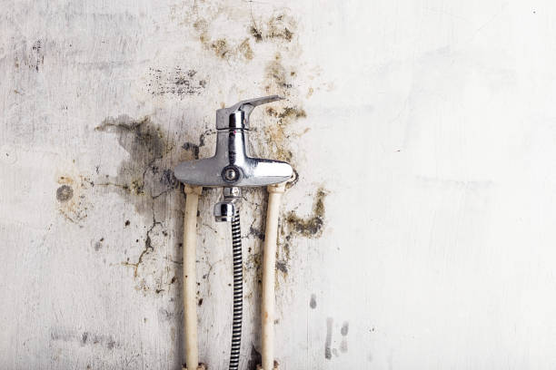 Best Water Damage Restoration  in Cambridge, WI