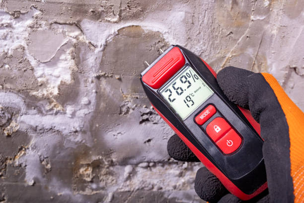 Best Mold Testing  in Cambridge, WI