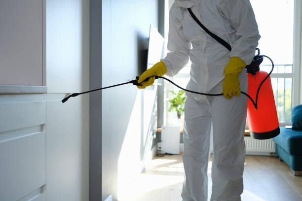 Best Toxic Mold Removal  in Cambridge, WI