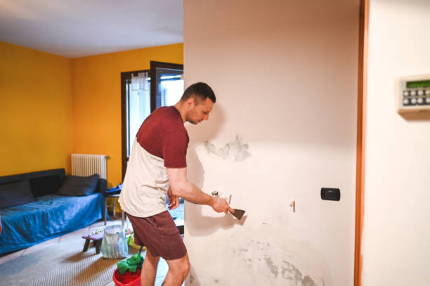 Best Black Mold Removal  in Cambridge, WI